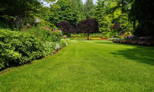 como-tener-a-punto-jardin-principales-cuidados-cesped-verano.jpg
